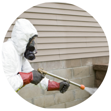 stage-uptoclean_2025_PLAGAS